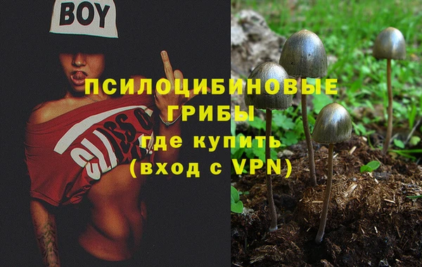 каннабис Арсеньев