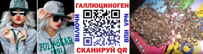 Псилоцибиновые грибы Cubensis  mega сайт  Солнечногорск 